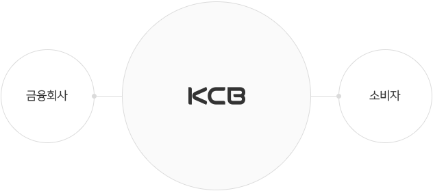 KCB - ȸ, Һ